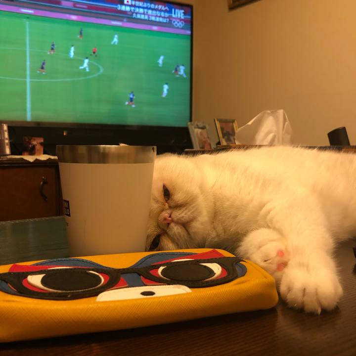 889f031a 505a 4a46 a062 dfa0954f1758 1627477690199