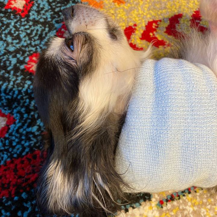 889f0c1e 14ef 46eb b0bf 03cdc07aa734 1710604609293