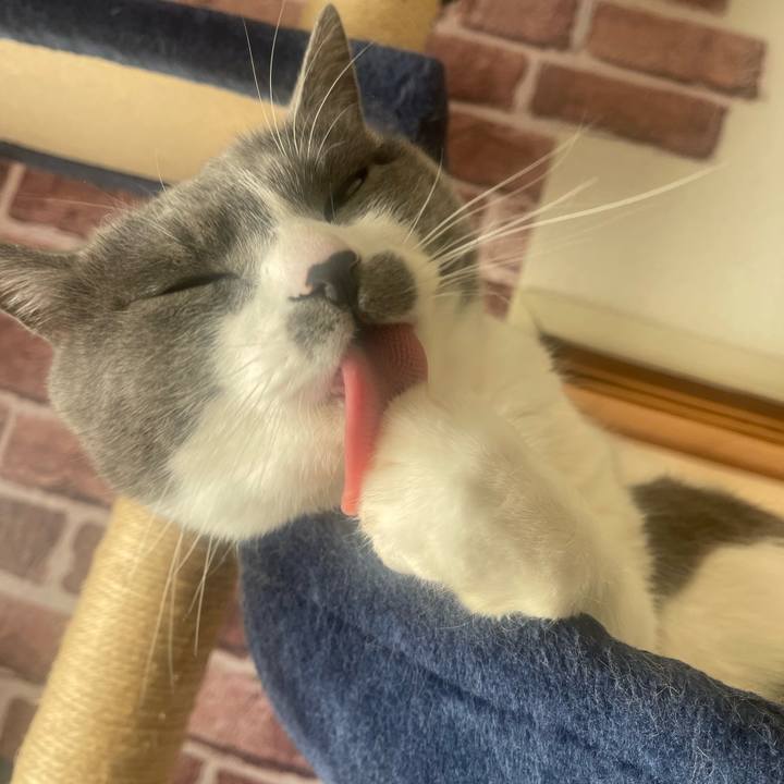 889f8107 c506 4842 a28c 45f0b37bded8 1707698022525