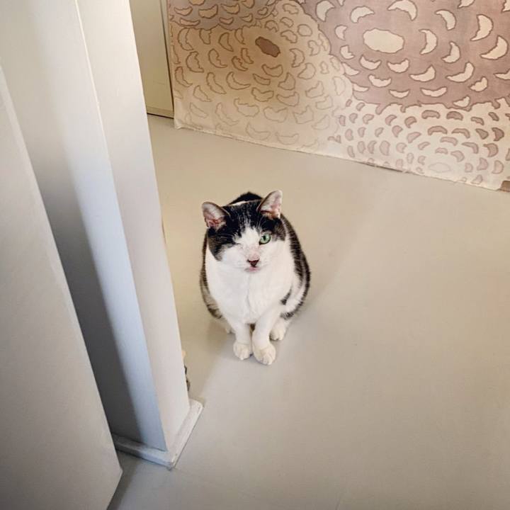 889fd7f5 7a58 419d a3b0 c83fda62a209 1605222893553