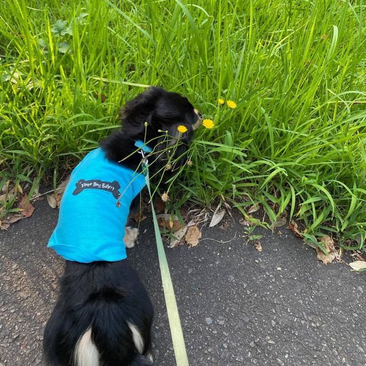 889fec0e e8e9 4537 bcb2 59f170cf78de 1689164248264