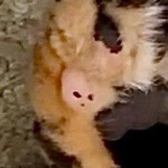 88a019fa a253 48fe b8bd e8977b4da412 1752494809451