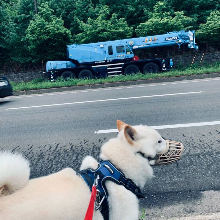 88a0251b 2a6b 44c3 ad0a 57be5e5924fa 1625608066208