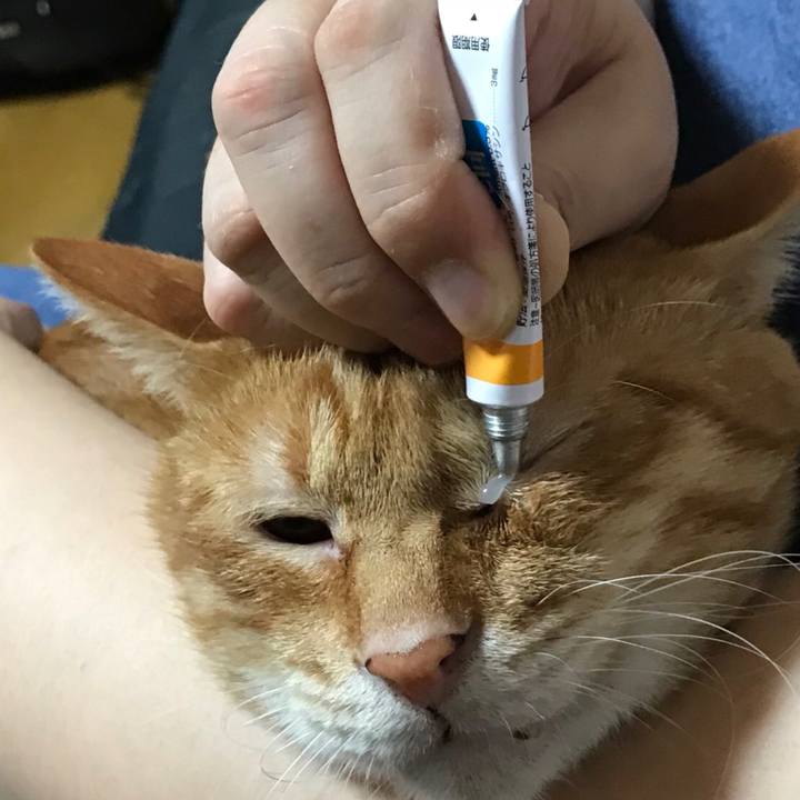 88a02985 5a9f 4460 820e e28cf881e4ba 1532518400669