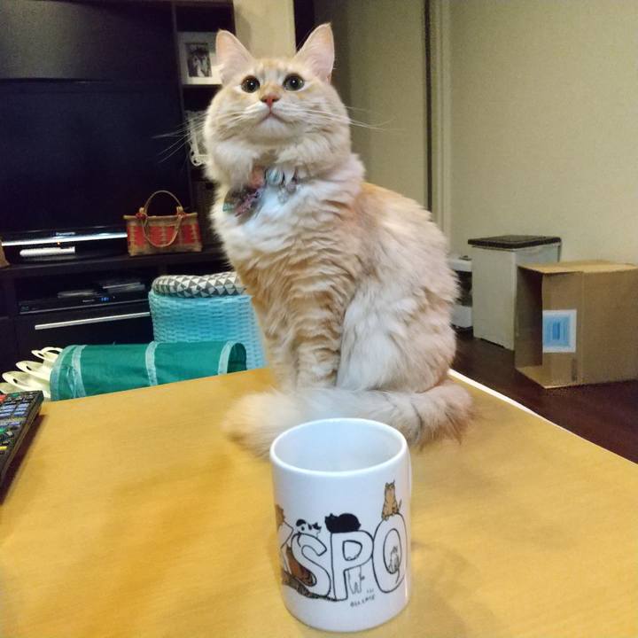 88a03035 7bab 495d a88c 001a696a8a7f 1635513410165