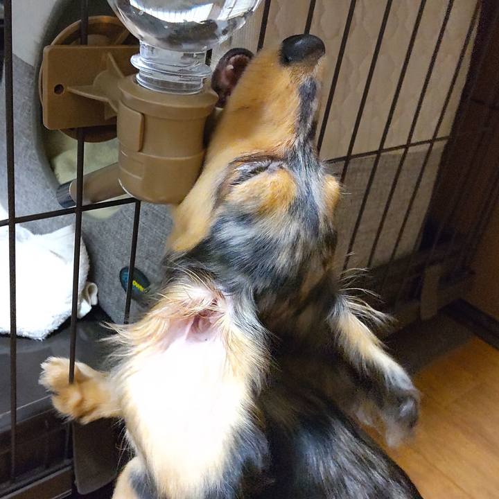 88a041ce e22c 4749 b9a5 dec9374e5ba3 1697027421861