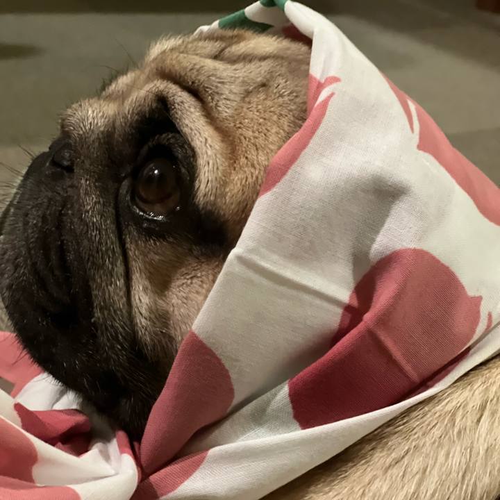 88a0cb5b 76fd 45fb 941d bebca1572f82 1660049085825