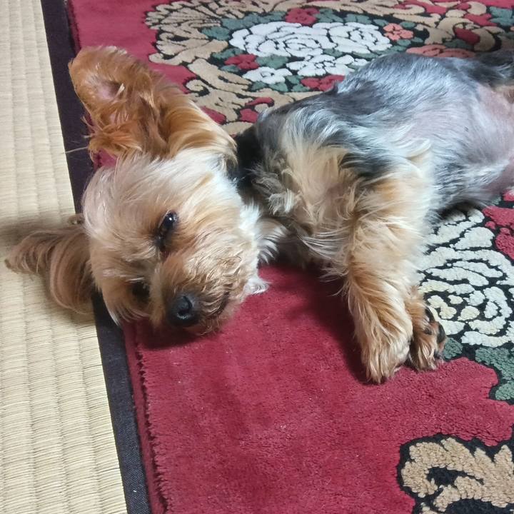 88a1535f ce32 4e2b 887e b23074369884 1745973252736