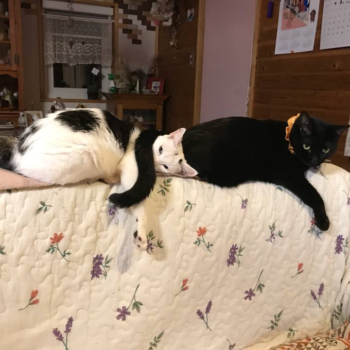 88a154f3 9f43 439c a20a ba9c2056b6ac 1631706593381