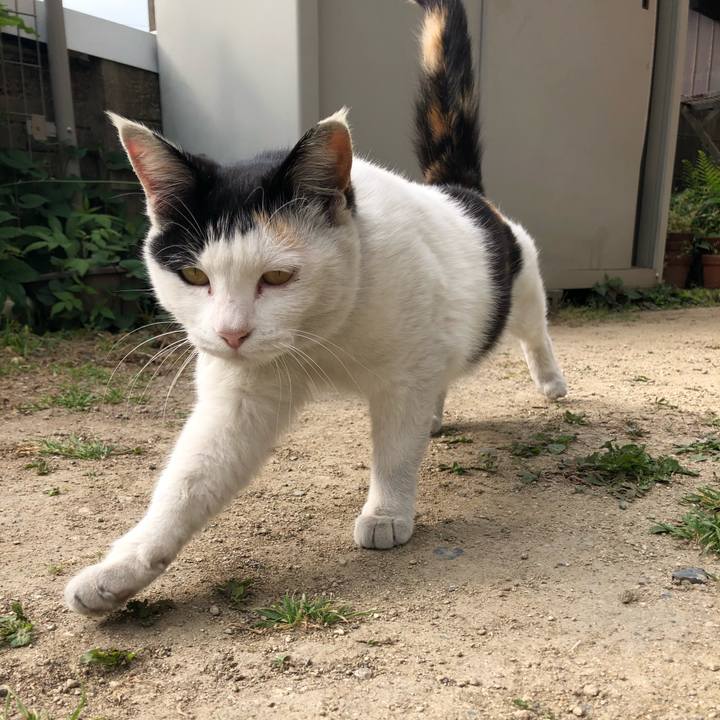 88a157c9 3442 4f0b b514 37fd4c496c45 1619310249457