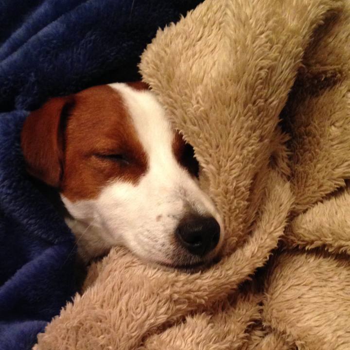 88a172ee 5fd0 47bf b368 aa67be73b13d 1515228461159