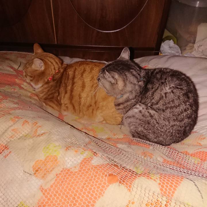 88a1a306 255c 44f2 8035 ee2abde5d5a7 1577216865723