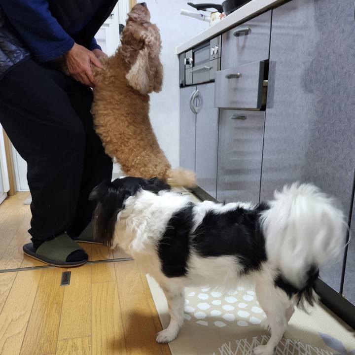 88a1b597 ee40 4bdc a2fc cc4a831e7c3f 1762730532164