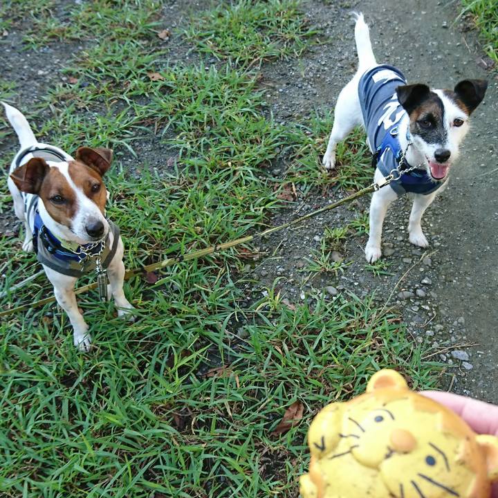 88a1f2d5 1d94 4504 9263 a860335de595 1568757282591