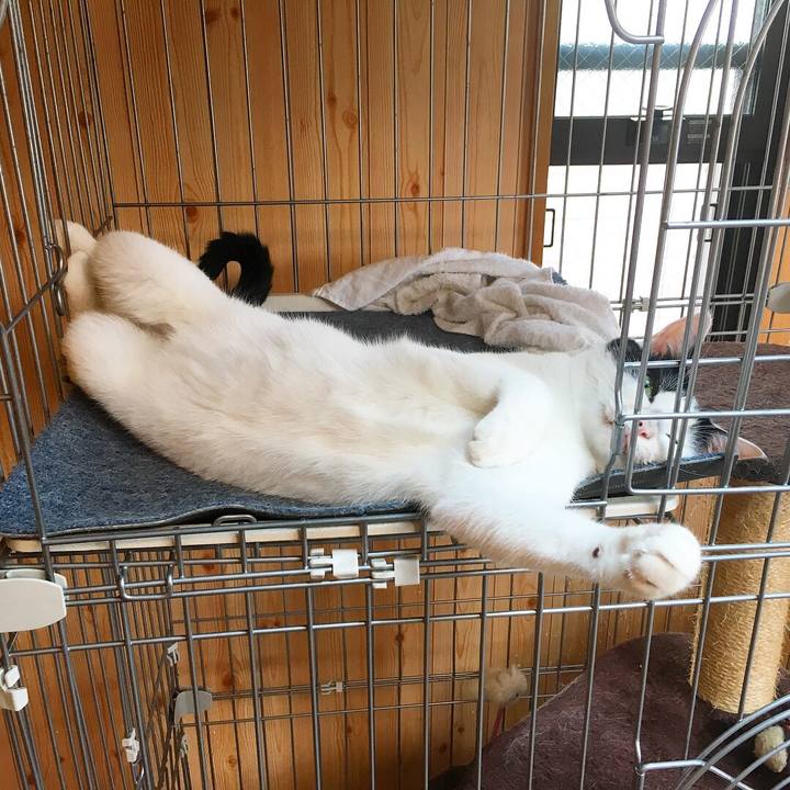 88a1f740 40df 44ac bc90 320d20067060 1531009017824