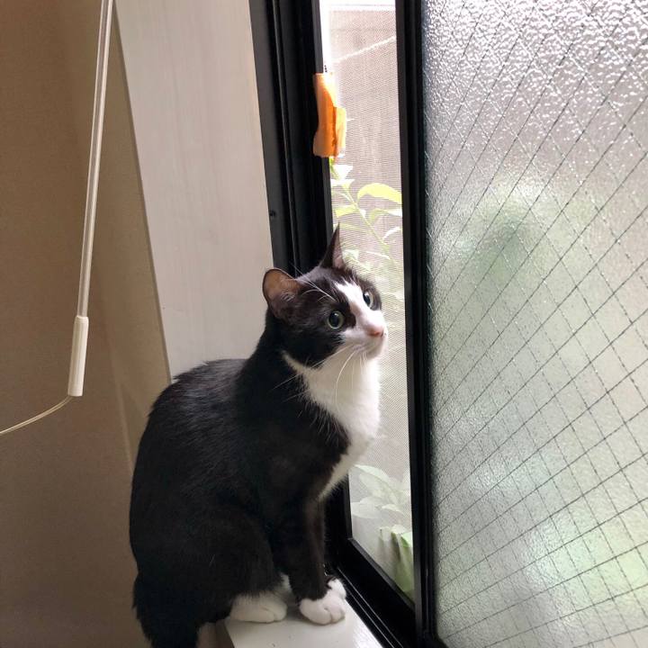 88a1fafe ccc4 4306 9f2a b571d9f84fa1 1537062132799