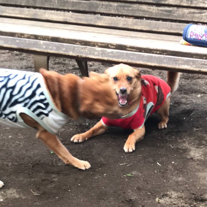 88a2068a 5ba0 426f 8d32 0167ff52b71a 1554988330374