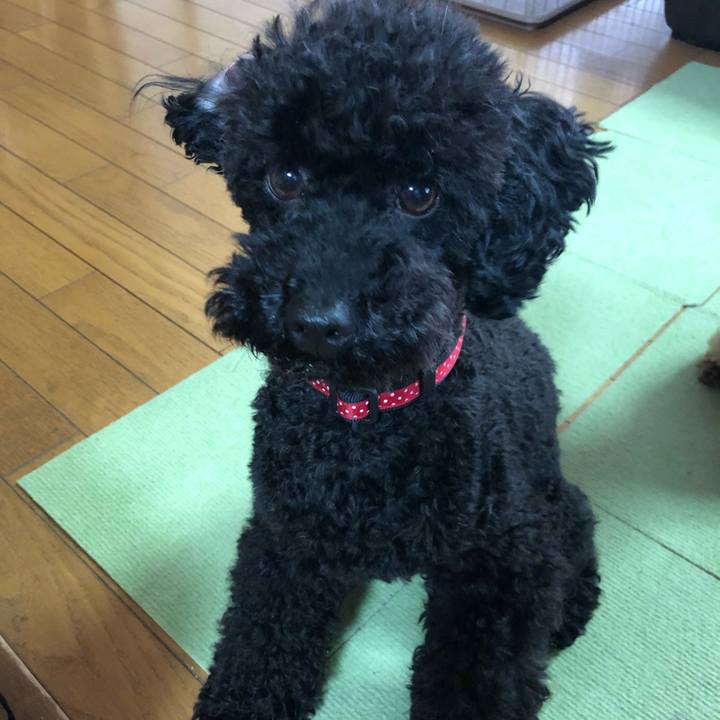 88a250e8 b225 4985 9faa be76d70bc342 1559860341341