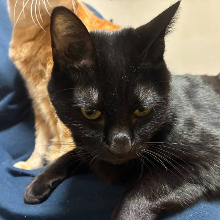 88a26f9a 24dd 4602 a0ba eb4fda203897 1762599734868