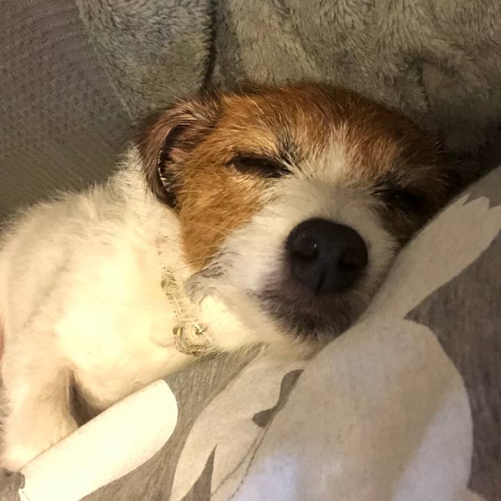 88a272cf c825 415e 9692 be2703fdf319 1604592286368