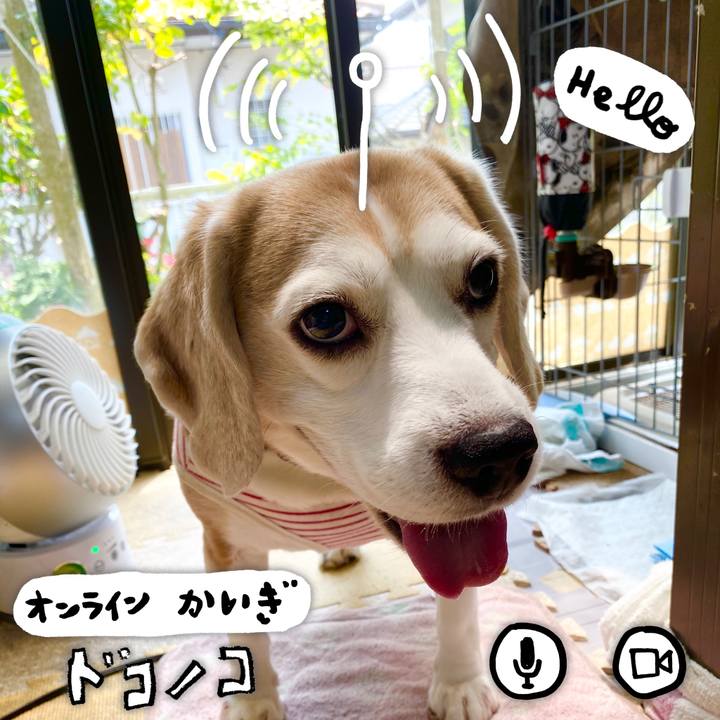 88a2752f e6de 4bc9 8972 e4e534b20f6a 1591329408040