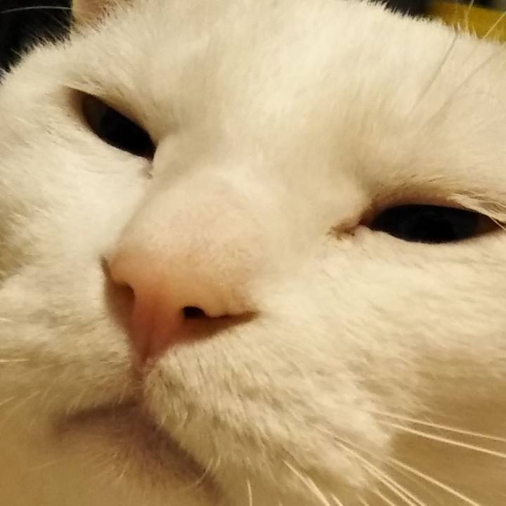 88a2a74b d1f4 47ac b384 0522e0b468aa 1575717566118