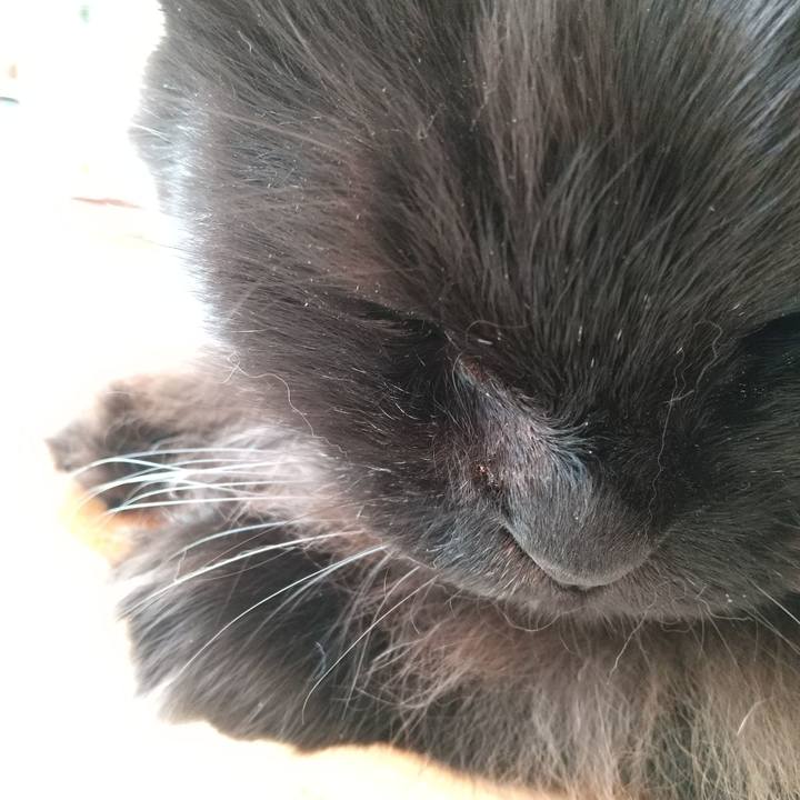 88a326e4 987e 4a47 9365 3f2f4a40bd19 1607388481094