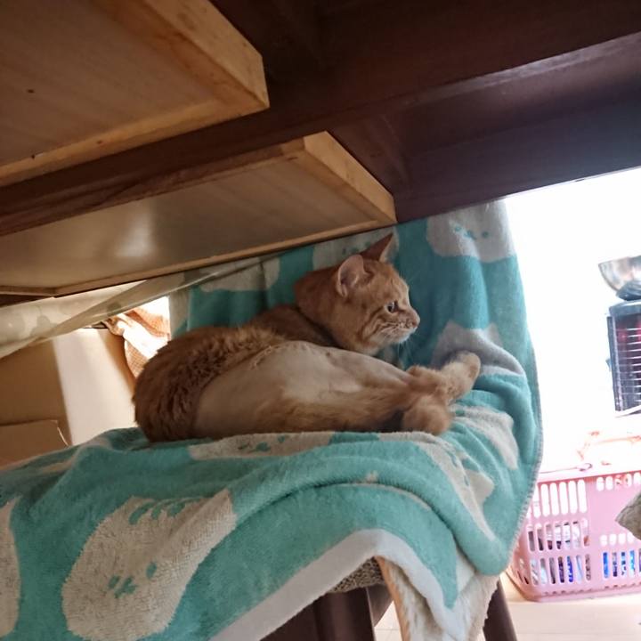 88a33e15 51b6 4eb0 95d5 b08a1eb23ae0 1653889044232