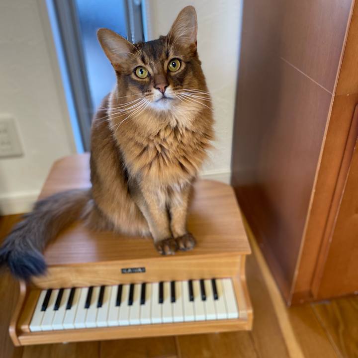 88a36674 691b 4c1e 8629 8d5d72a45943 1654468981534