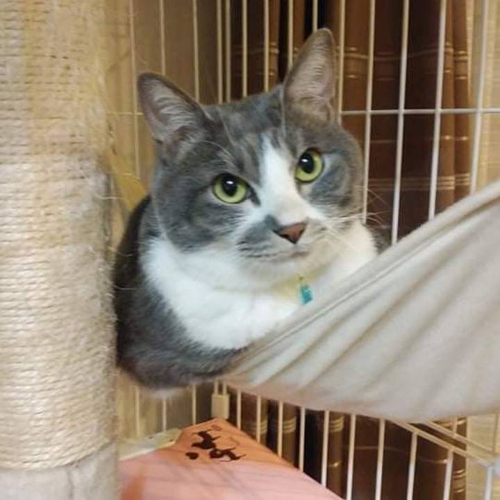 88a37faf 35cd 468f b844 51f8c22c8973 1645438875485