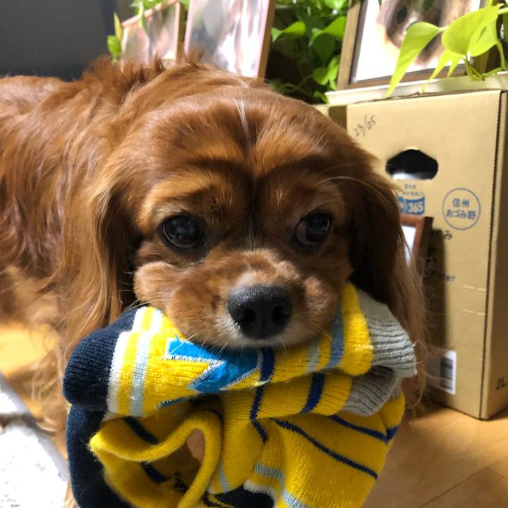 88a3834a deb6 46df 9215 fd0609e1eb49 1639866498084