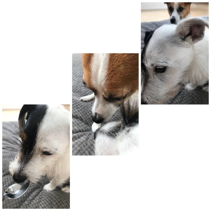 88a44d88 4bf5 4c9f b475 202b36eb0c3b 1527203102691