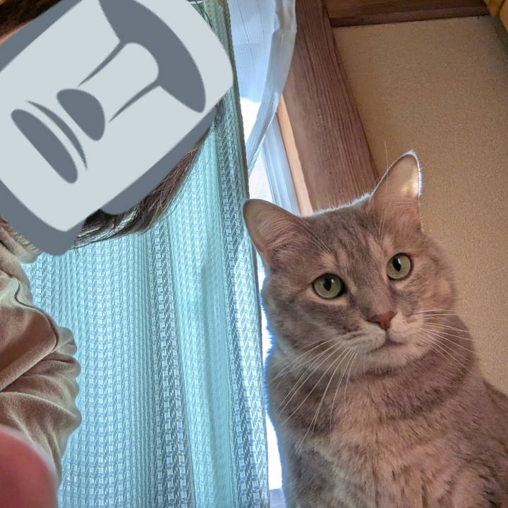 88a459d0 f6dd 416b 9a03 1846f30572af 1732944740060