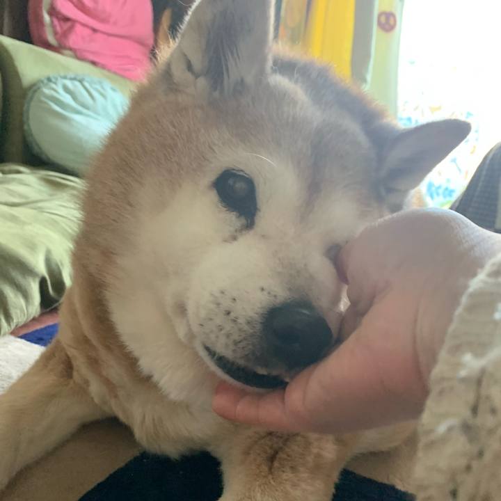 88a47547 cdfa 4c7d 87ee 44f28fd822d2 1642808112970