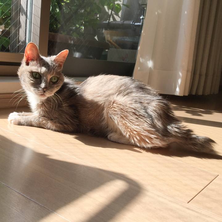 88a476a1 2bf8 4d02 8a44 c112dd63944a 1523081933130