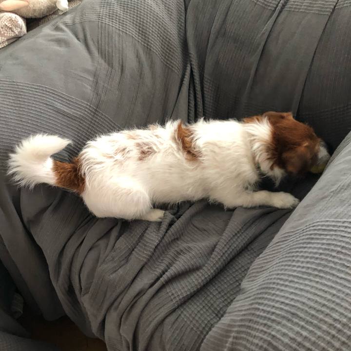 88a47e79 5c20 48a6 baba d04b9b21e8fb 1589614867464