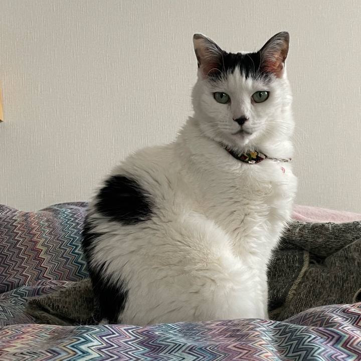 88a48c73 b398 484d ae1b 5f93788d2fa1 1648696084302