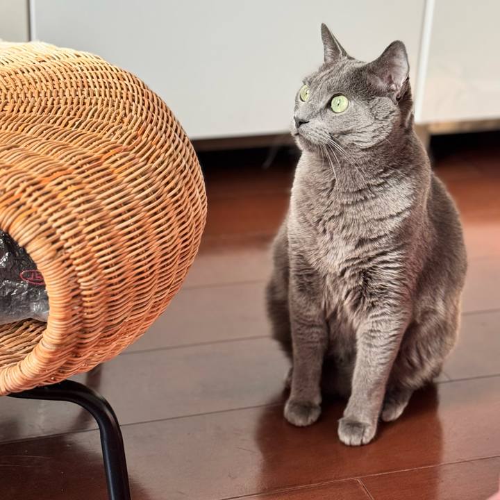 88a4b4df b136 47d3 8aef 1ccd294495fd 1765961050097