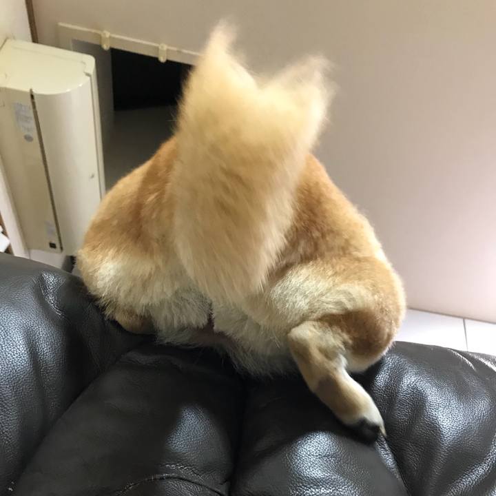 88a5136e dd76 4623 929a 0d86896a05c8 1513913176807