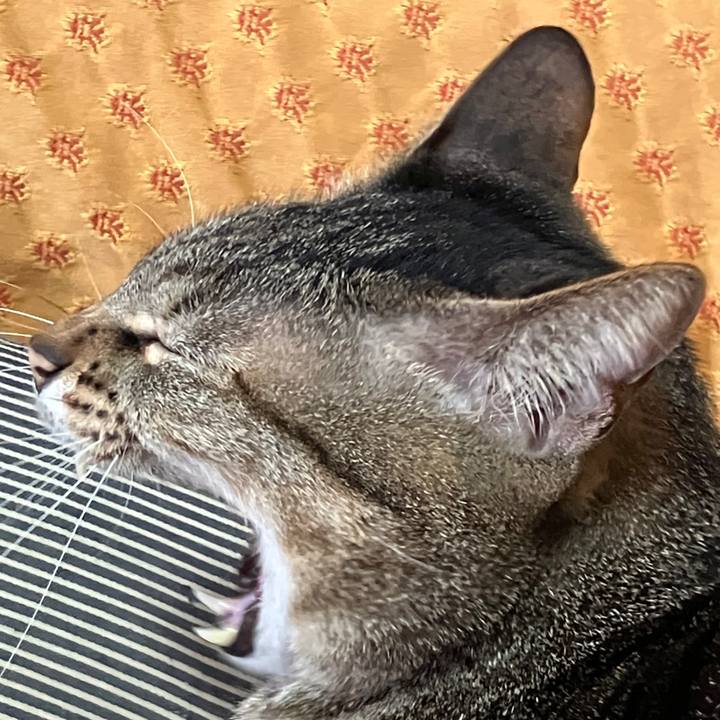 88a538ef 3e33 4c9b 9816 717fa3624261 1771207488155