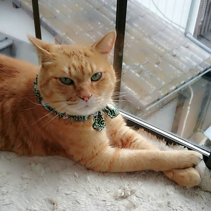 88a5396d ff9f 4481 a0b9 22dba57c8888 1563249025612