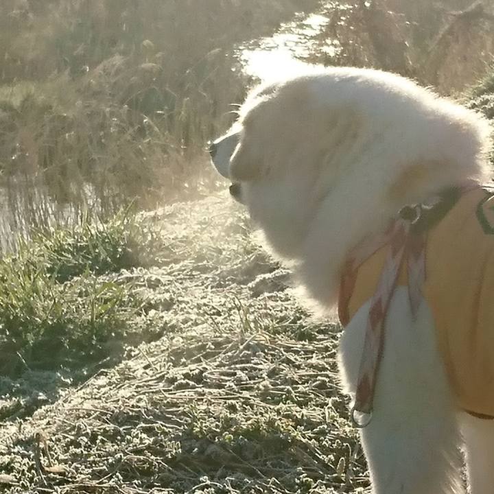 88a58371 7a12 45bd 9075 309d931e286a 1521842012400