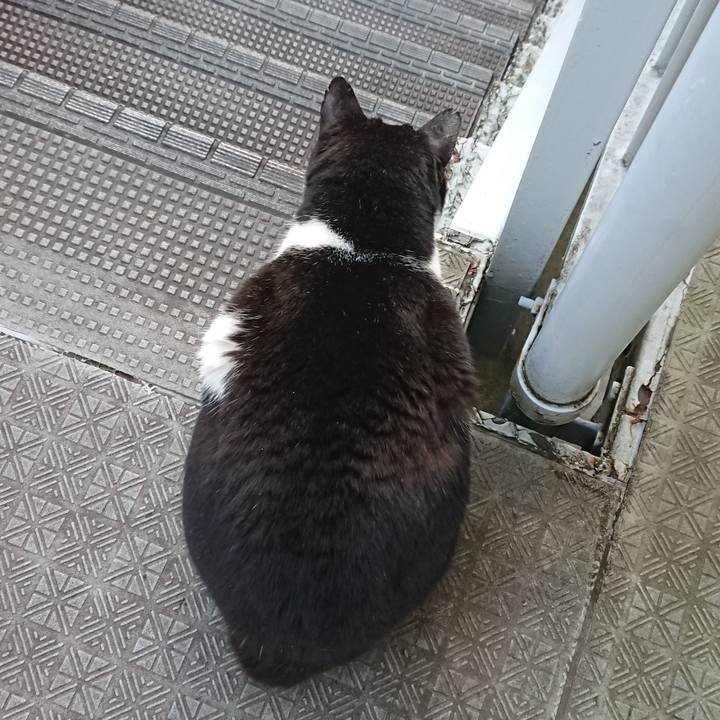 88a58cbb 2ea1 49bd b957 e968043752ca 1549511131835