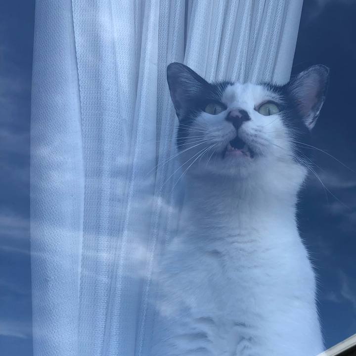 88a59b60 a4af 4cb2 b8b0 63212287ff44 1570243744497