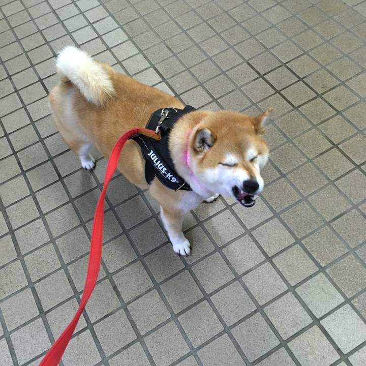 88a5e765 e715 429e 84ad e50c0aabfc85 1592045005196