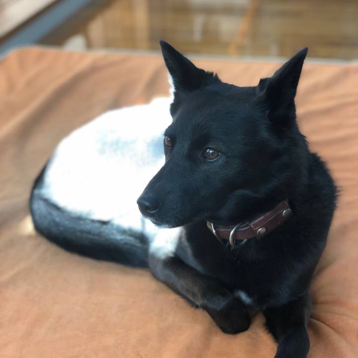 88a5f8d8 b865 4d85 bc3e faf371bfde1c 1576021135752