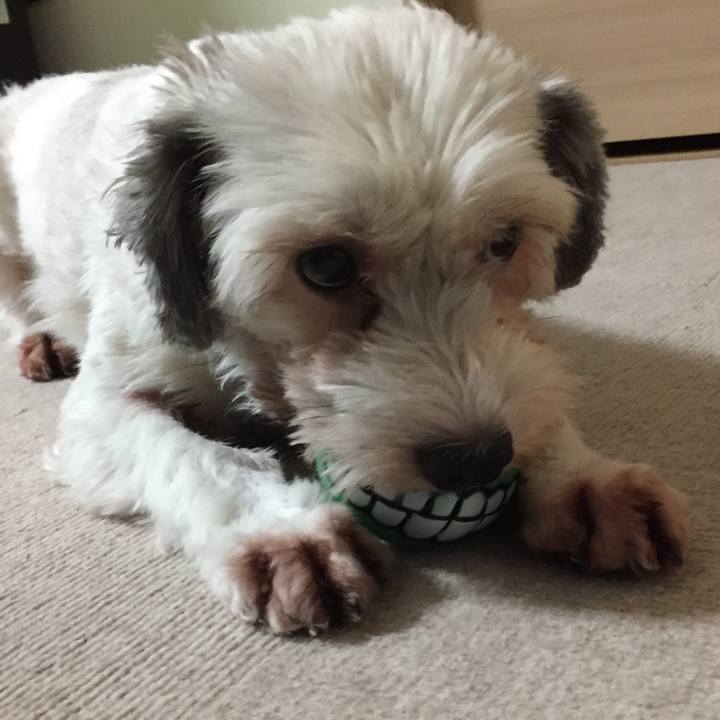 88a67deb 0a26 457a 887b 70d2ae6da10b 1531227109751