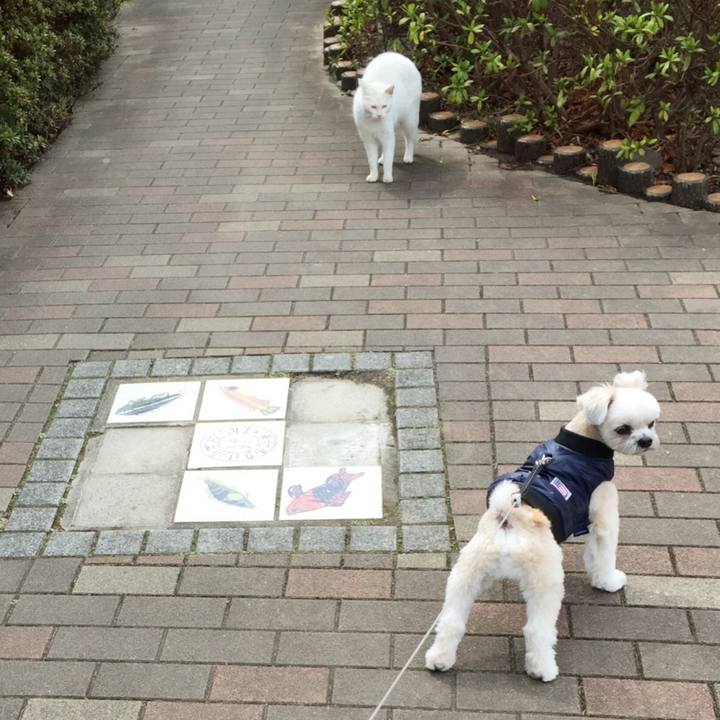 88a68d7c 5aae 40b5 9936 10b0e4c67f56 1552192213286