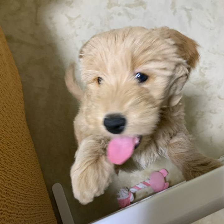 88a697fe c104 4700 a907 1b0bfdb89ab4 1681175264831