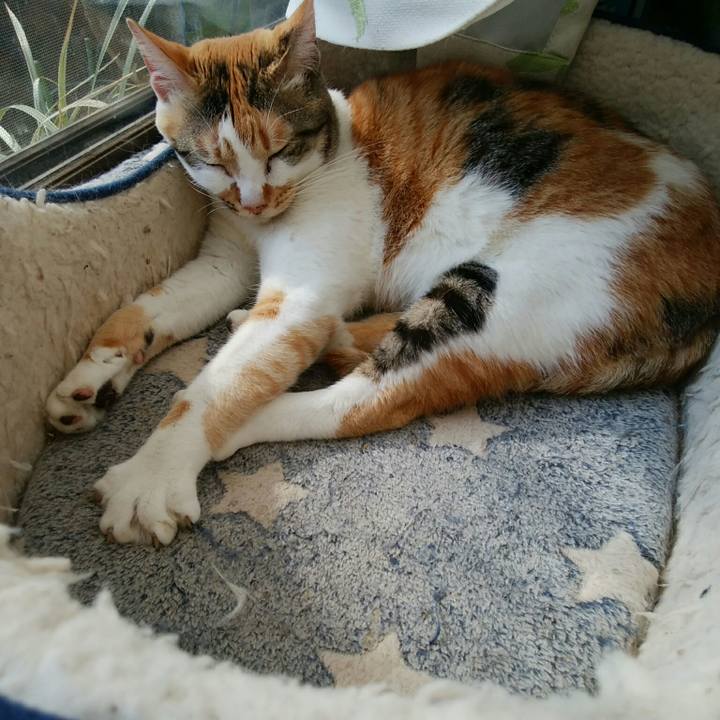 88a73450 c35a 4830 ab32 05472db20814 1552803292891